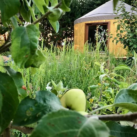 Jurta Jura Lesna אוהל מפואר Przybyslawice (Miechow)